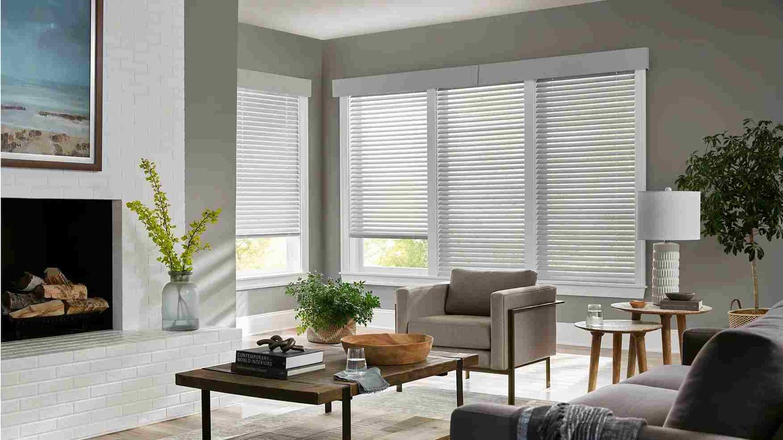 Motorized Blinds