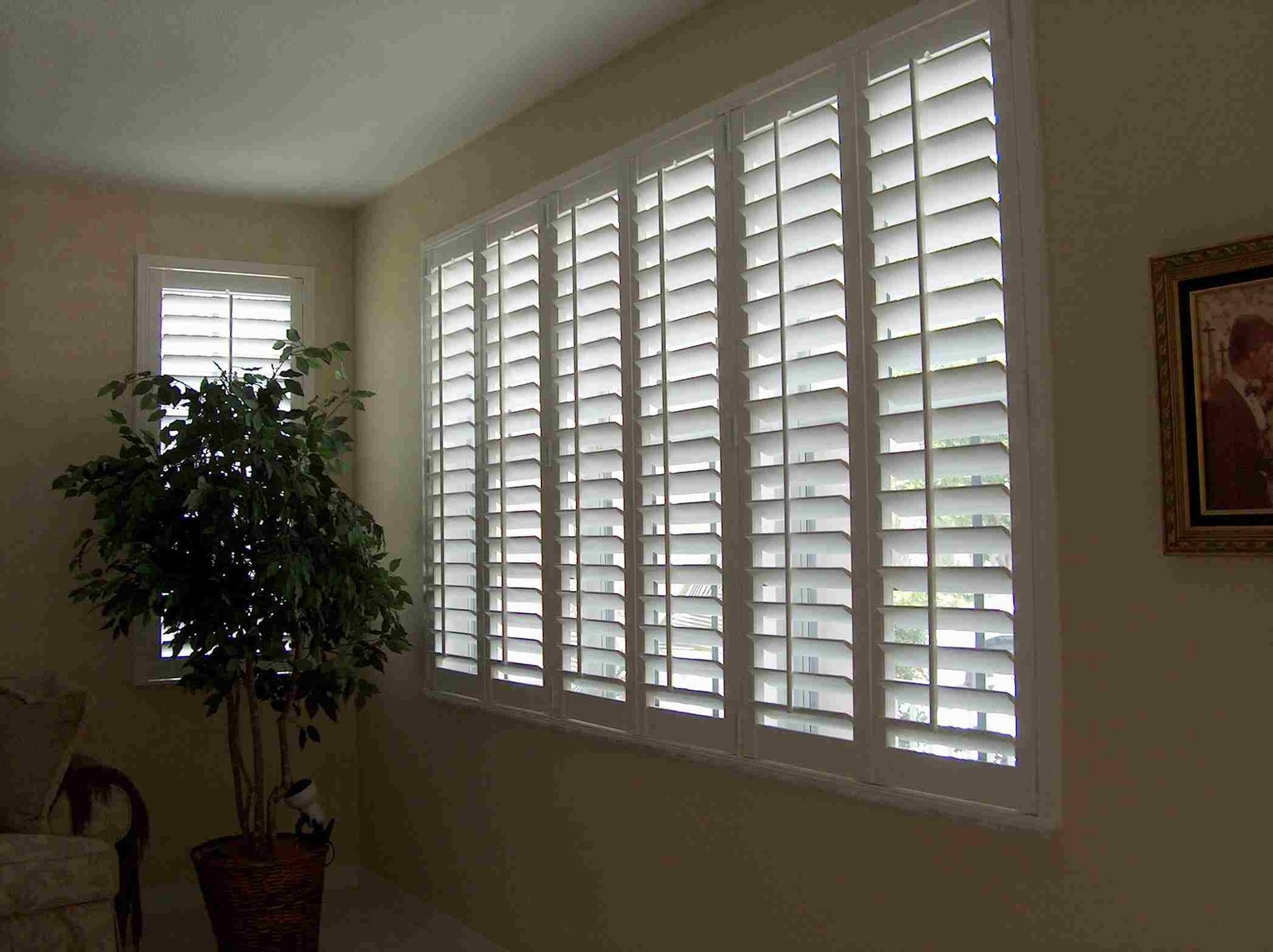 Poly Shutters